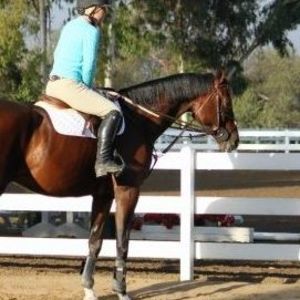 Meet your Posher, Jodi